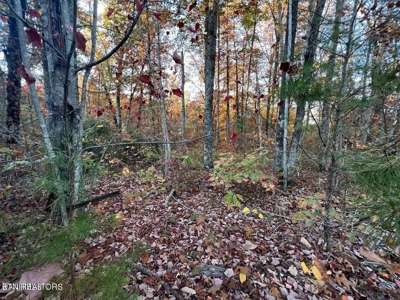 101 Fox Run Court Property Photo 2