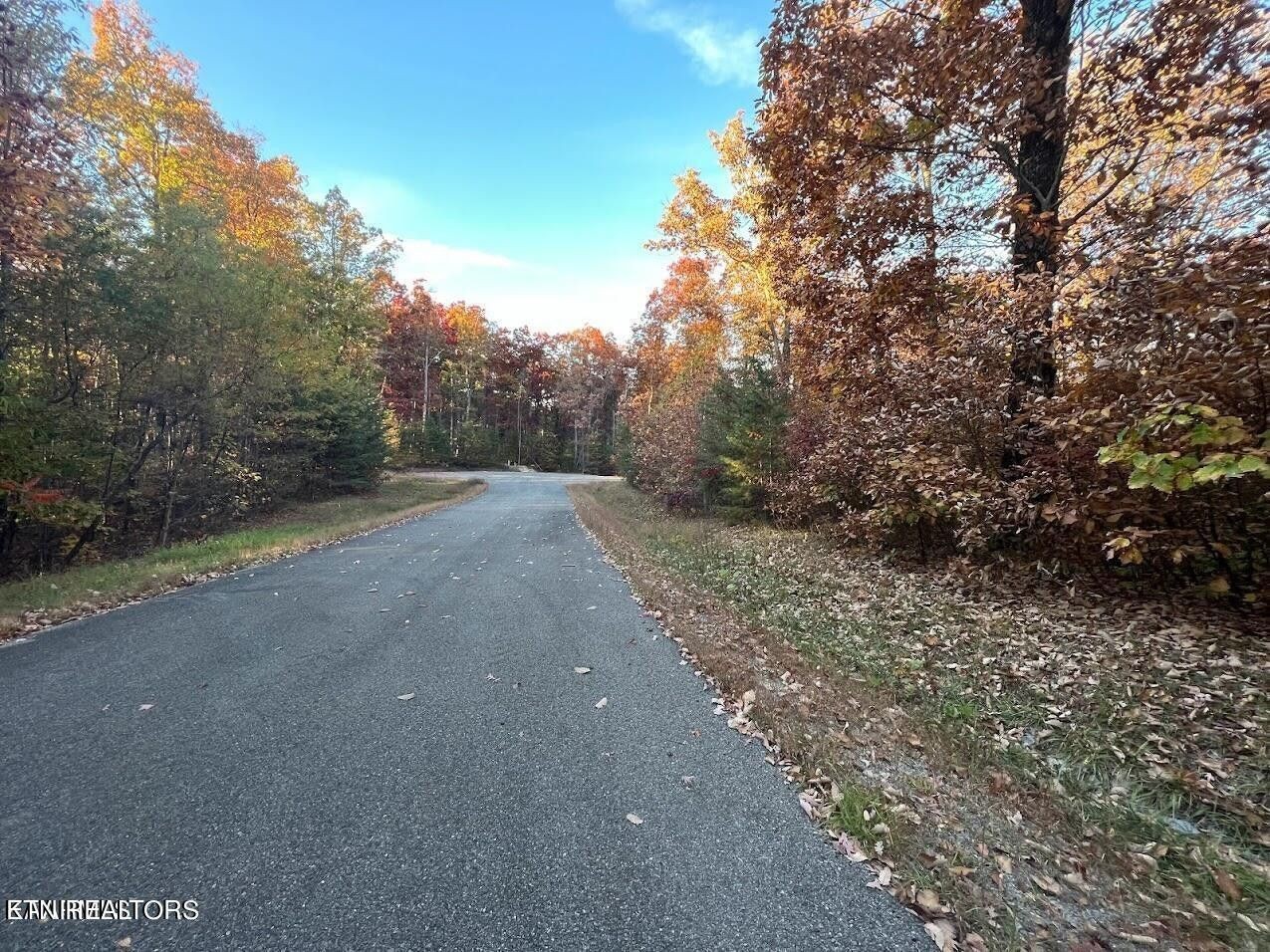 101 Fox Run Court Property Photo 3