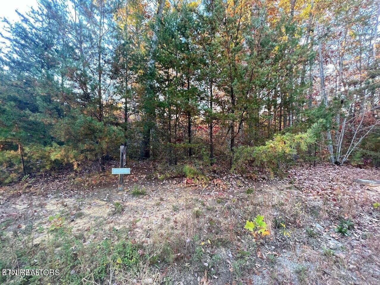 101 Fox Run Court Property Photo 4
