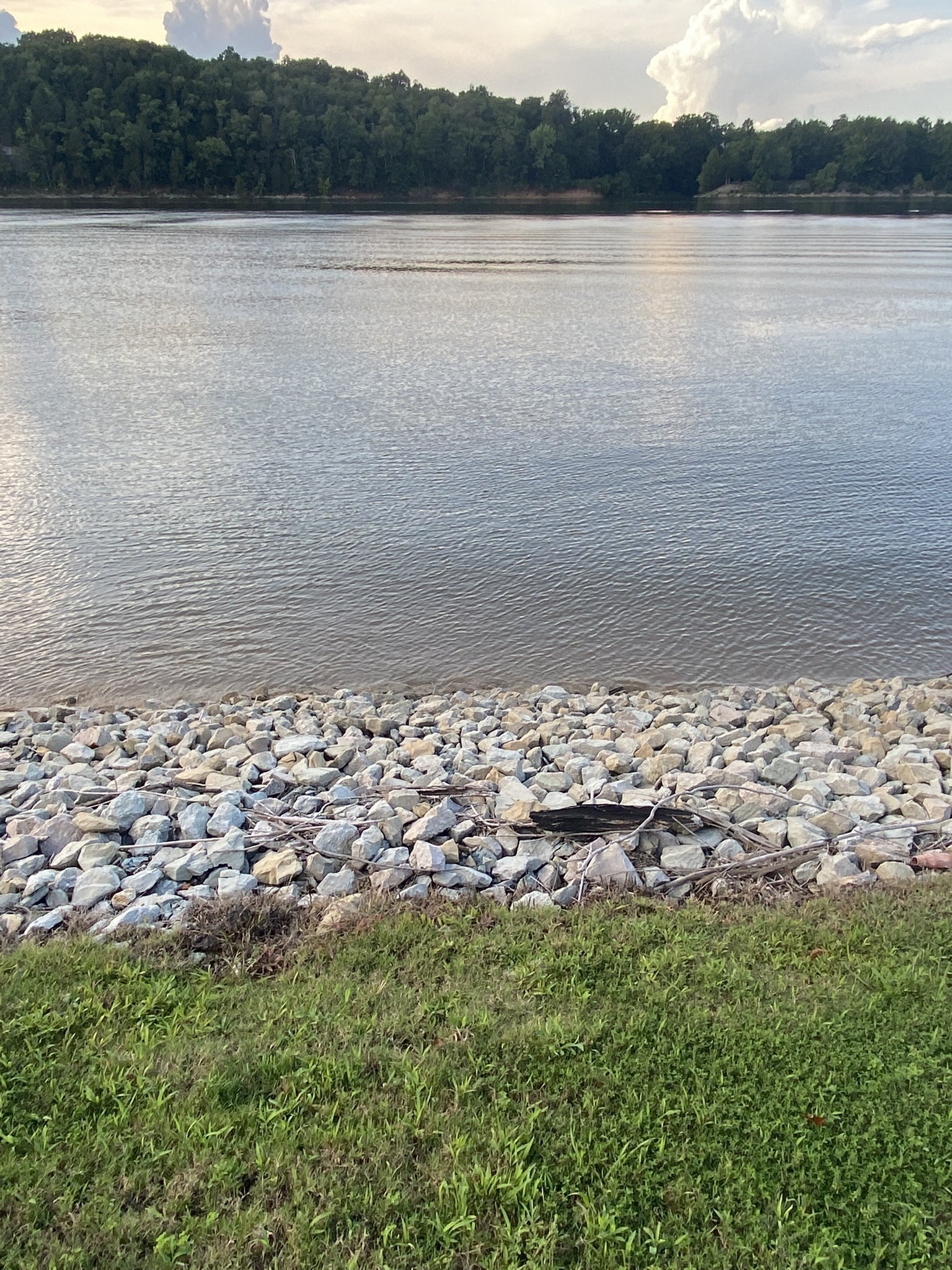 831 River Front Dr Property Photo 20