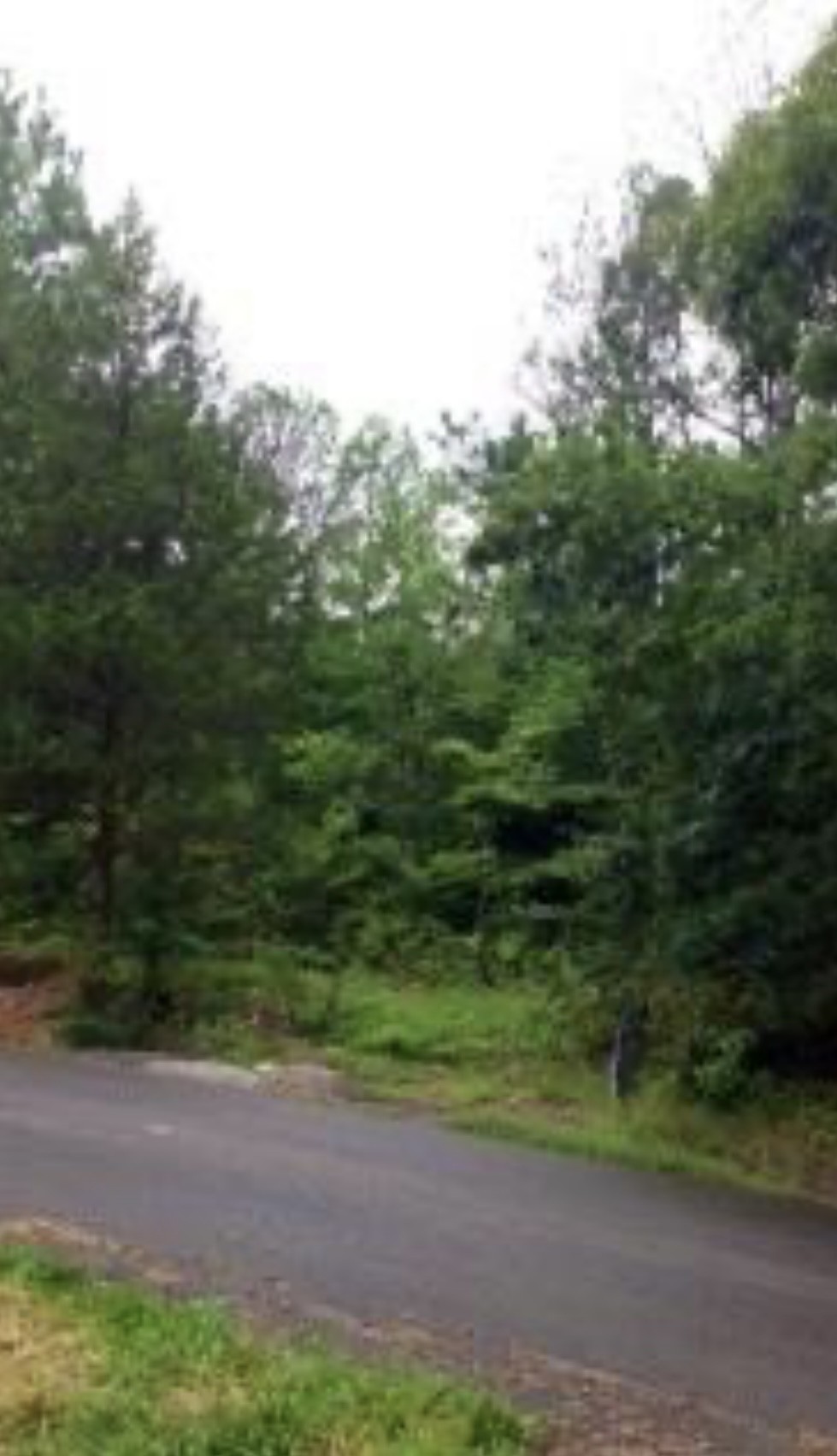 0 Knob Hill Dr Property Photo 1