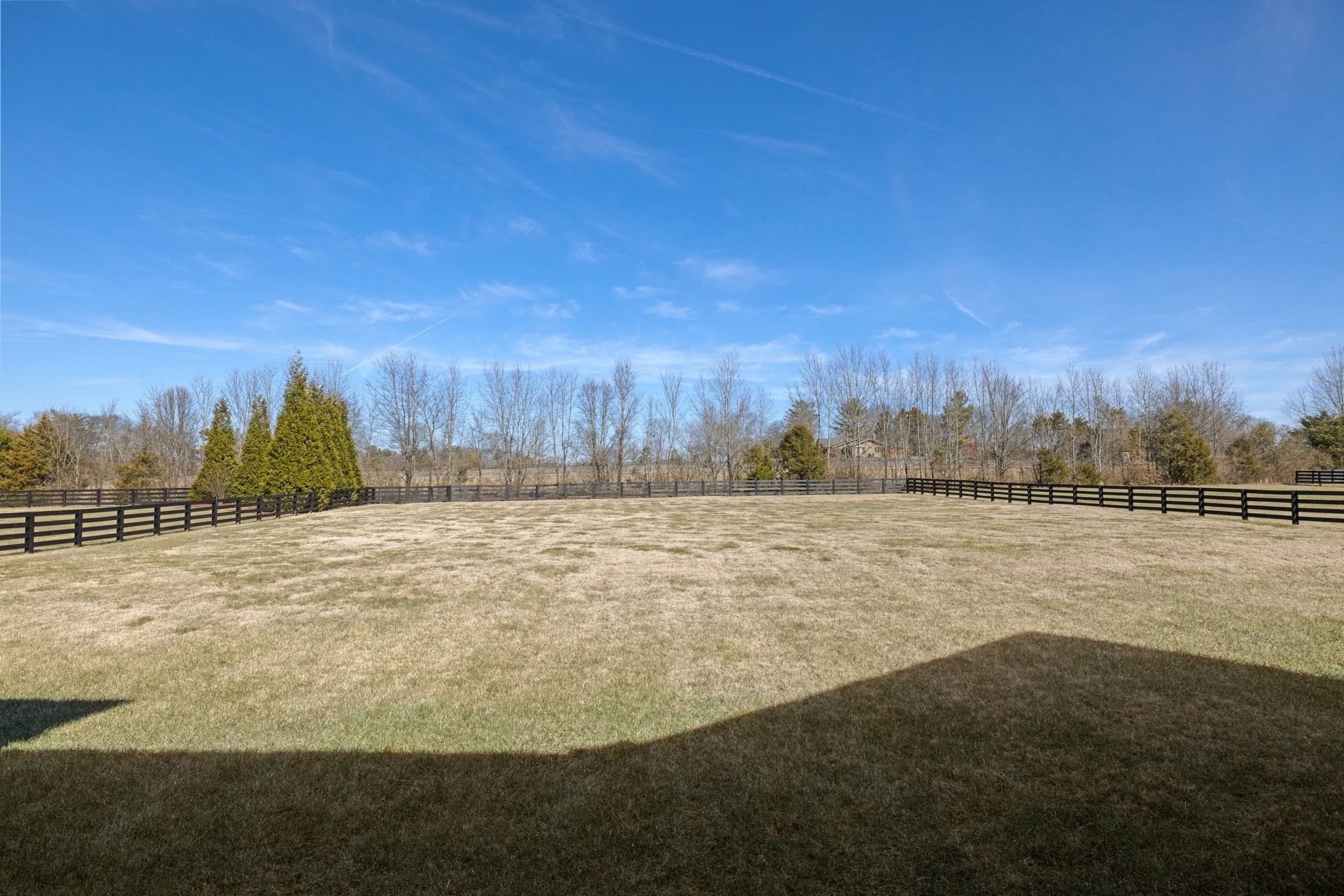 1014 Buena Vista Dr Property Photo 94