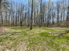 520 Gray Rock View Property Photo 7
