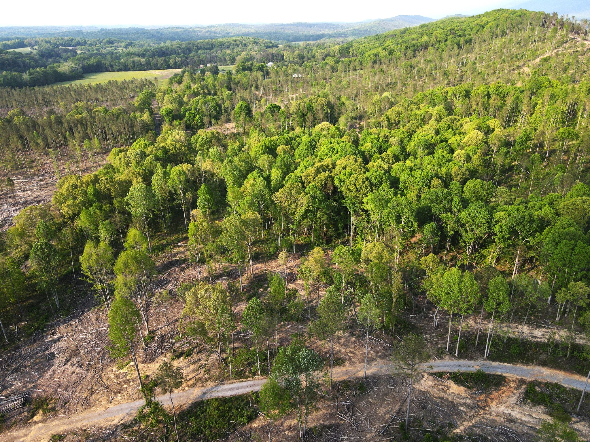 0 Old Federal Road Property Photo 3