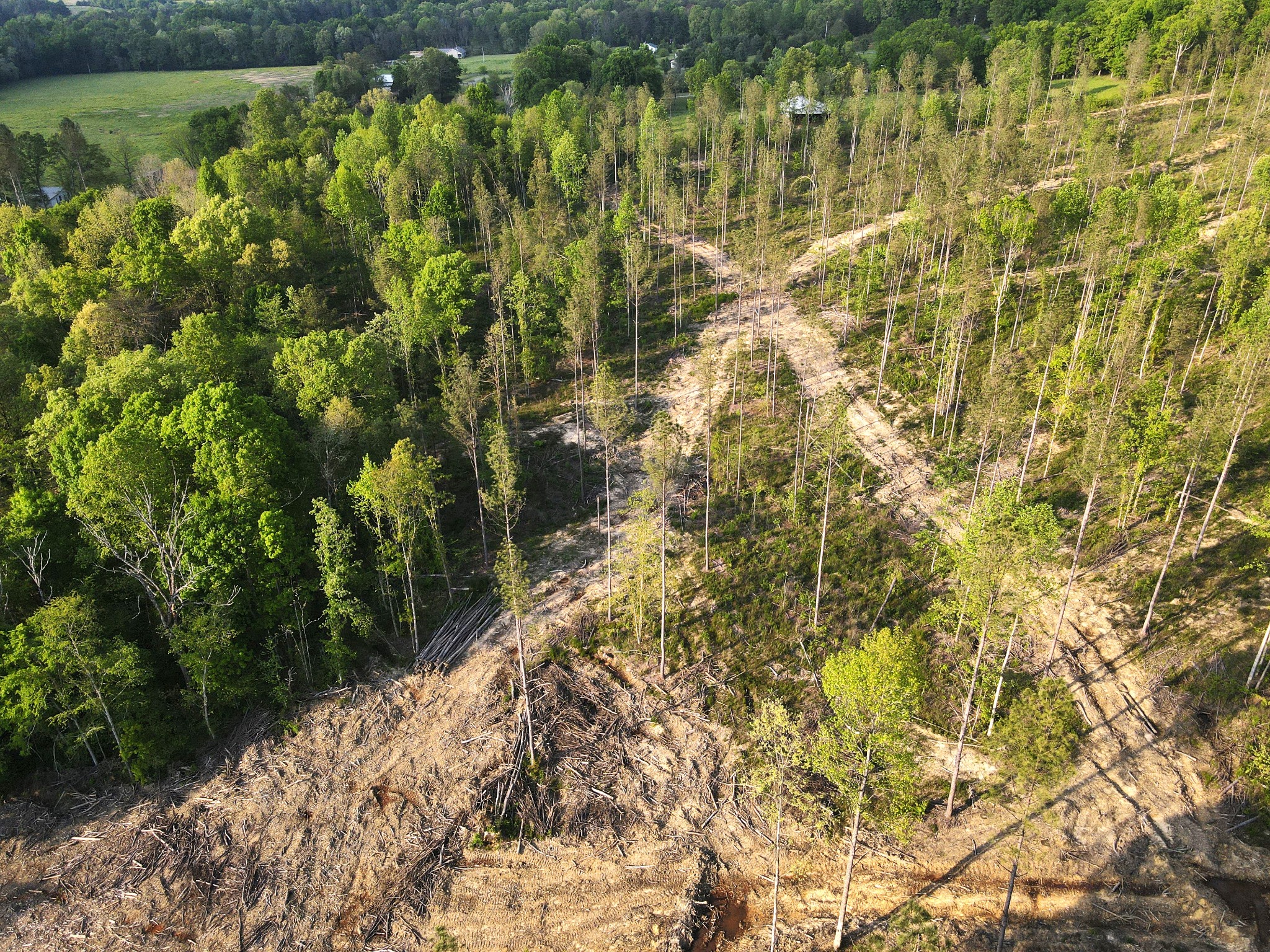 0 Old Federal Road Property Photo