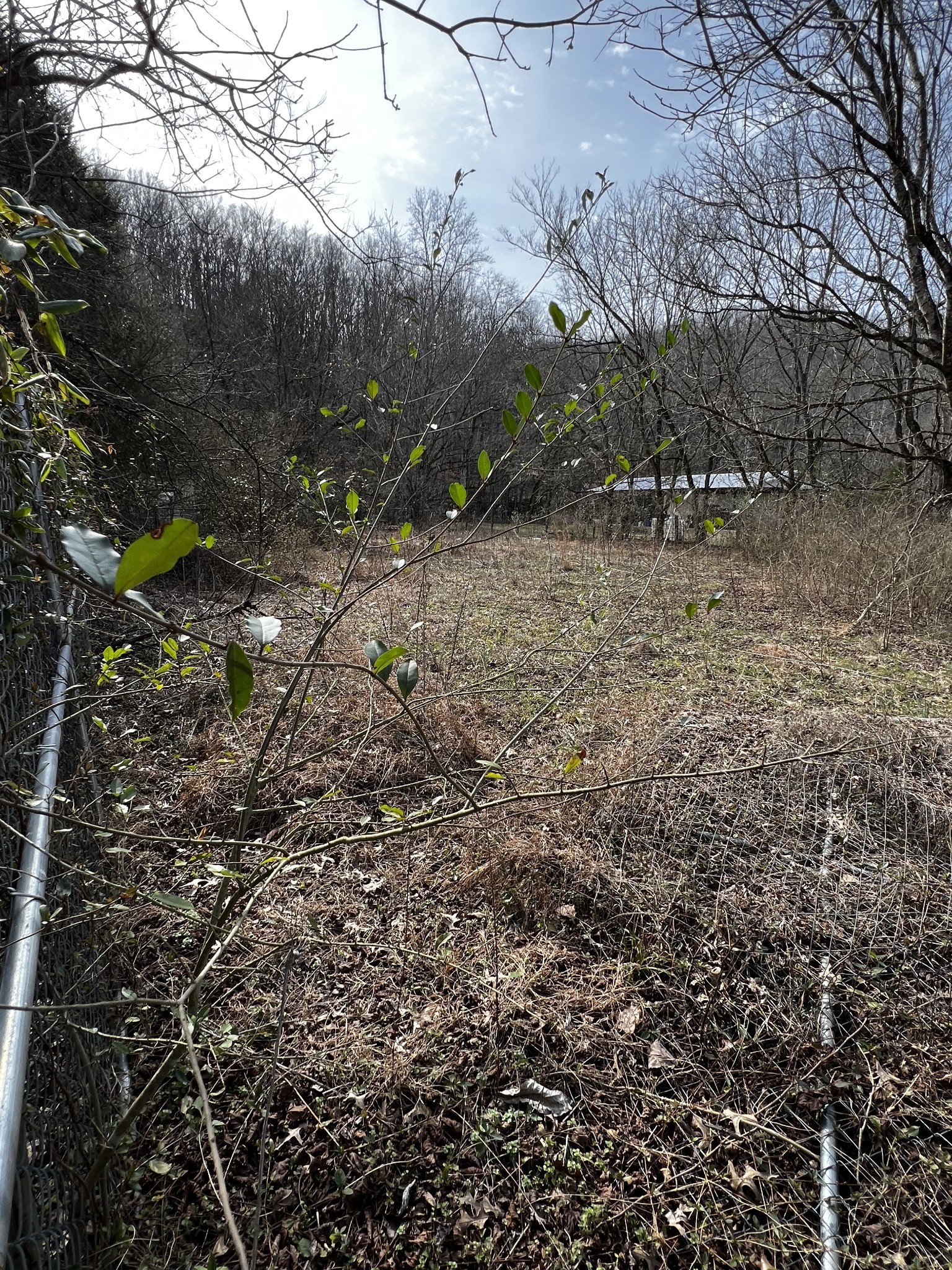4091 New Highway 96, W Property Photo 22