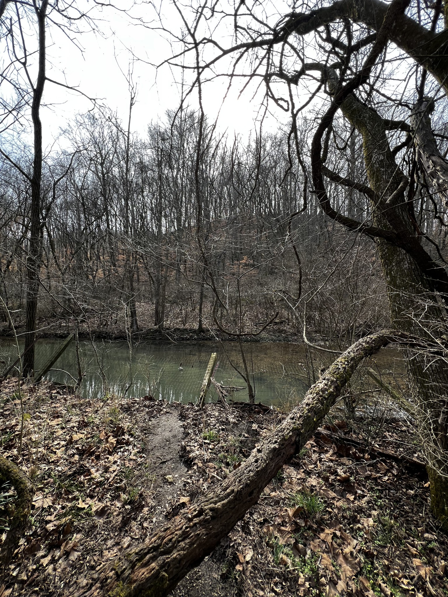 4091 New Highway 96, W Property Photo 24