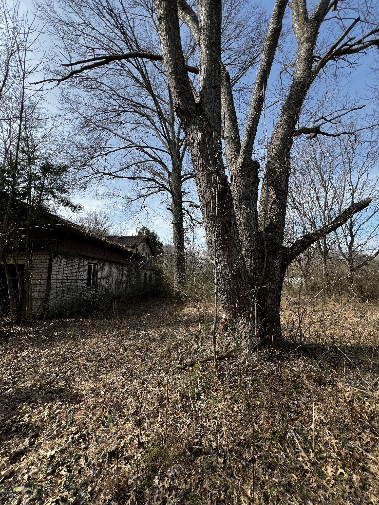 4091 New Highway 96, W Property Photo 26