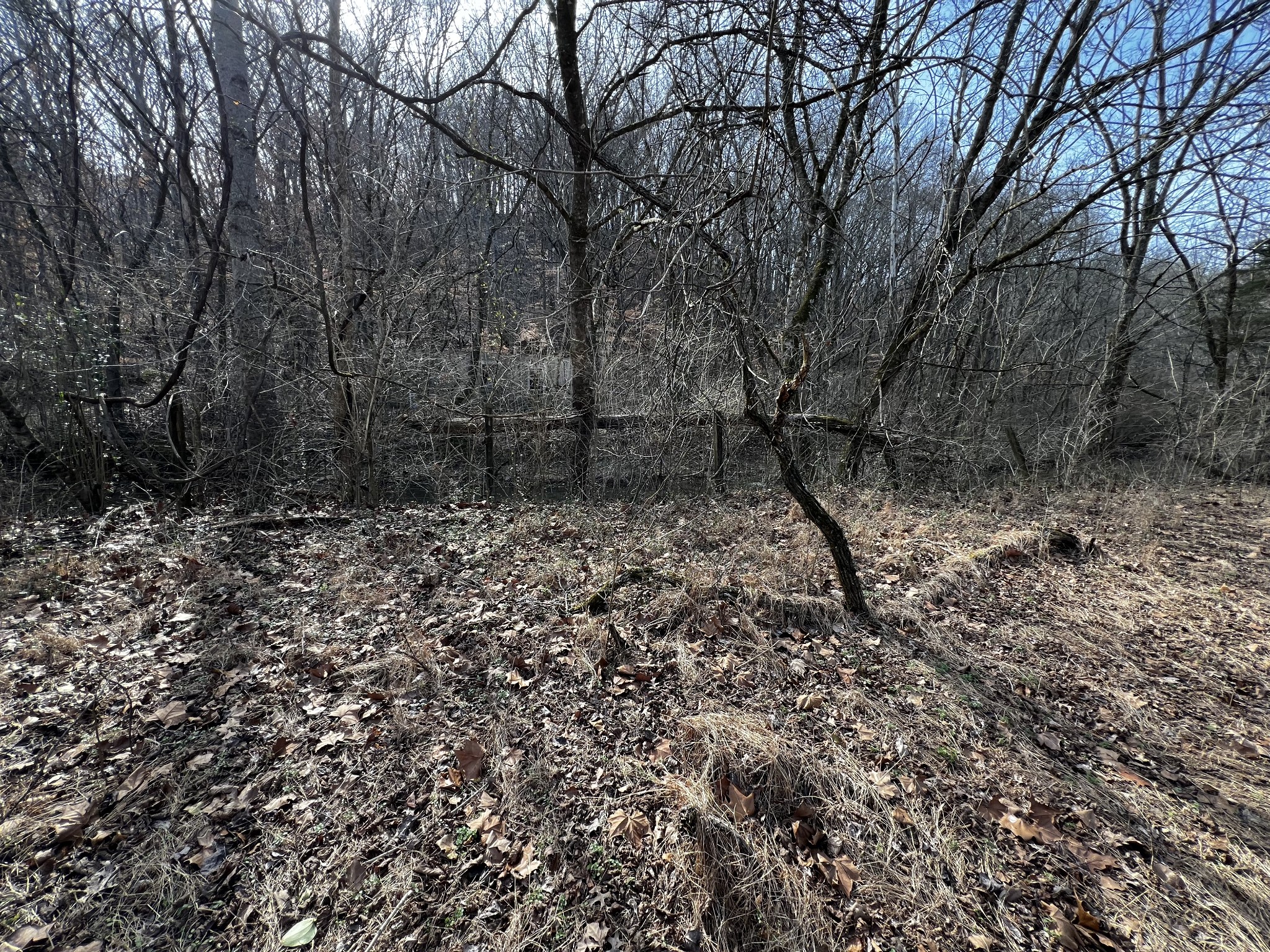 4091 New Highway 96, W Property Photo 30