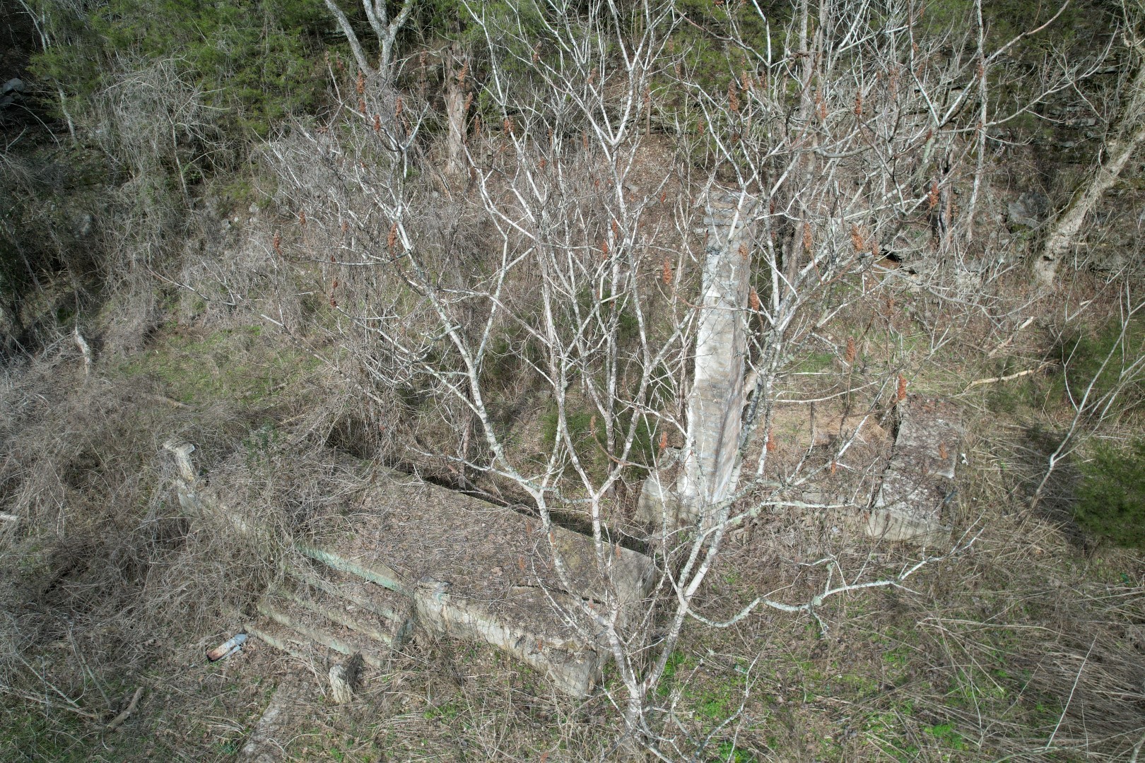 6496 Gassaway Rd Property Photo 4
