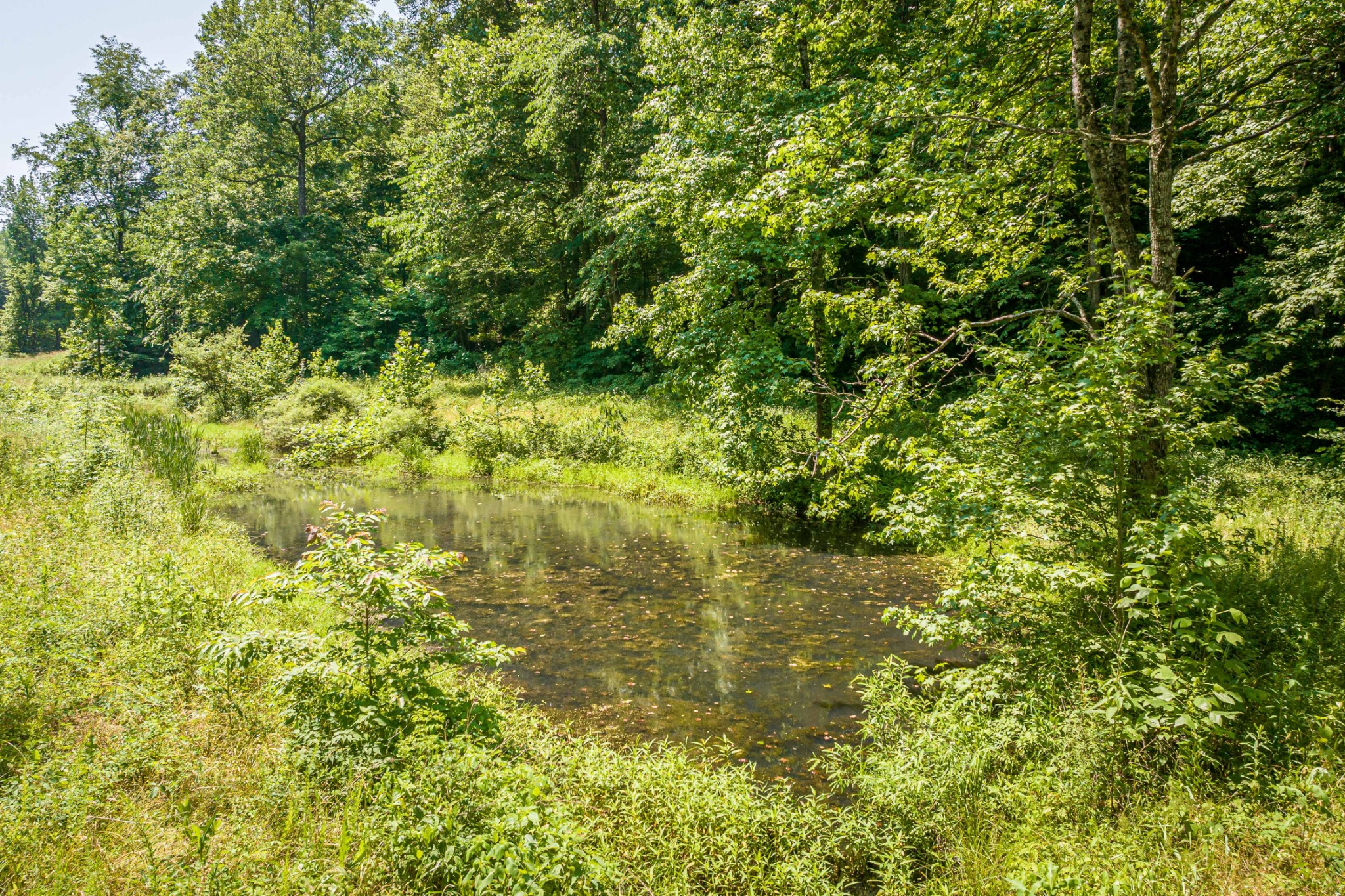 115 Pinewood Rd Property Photo 36