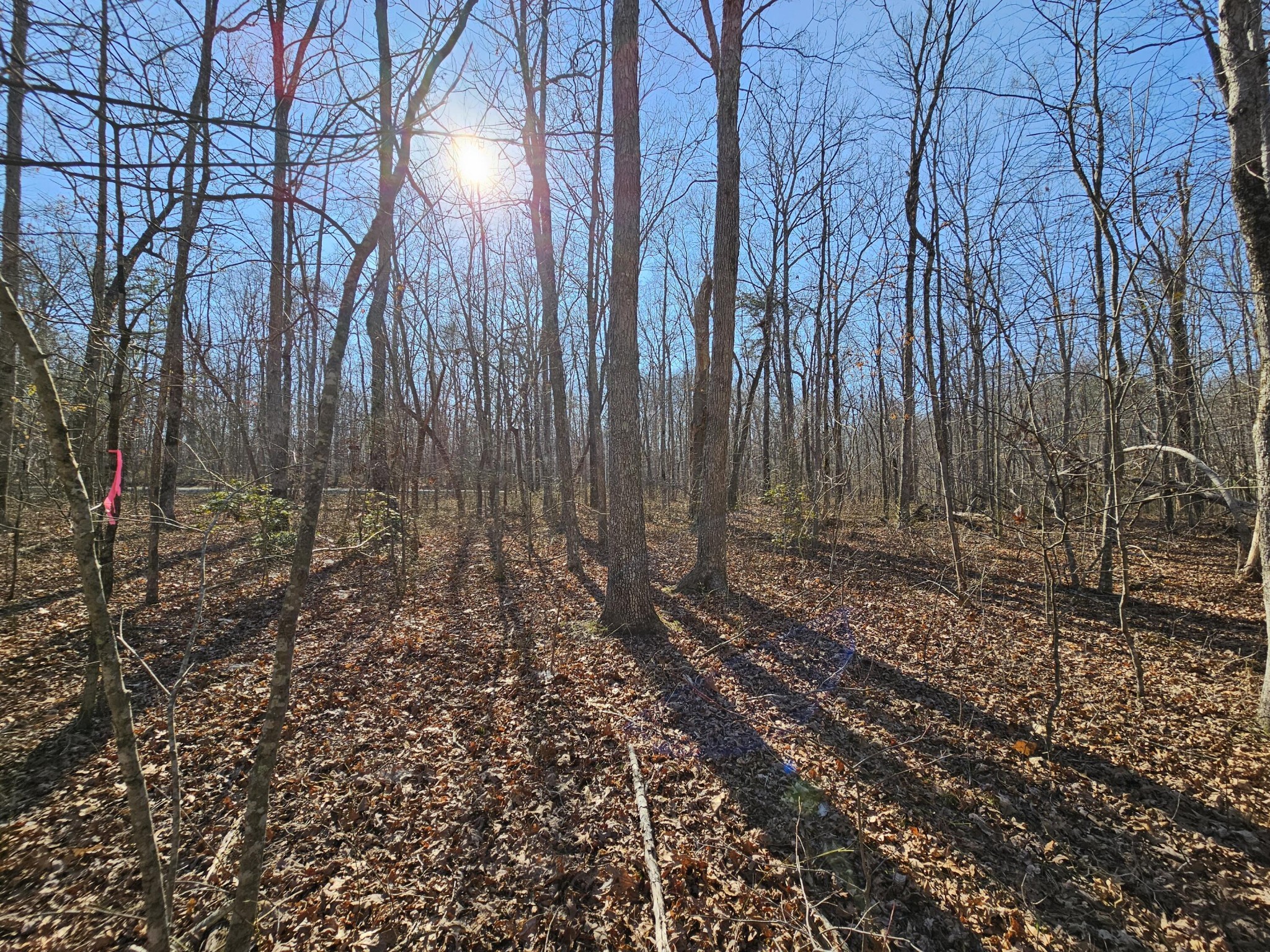 5 Timberwood Trace Property Photo 2