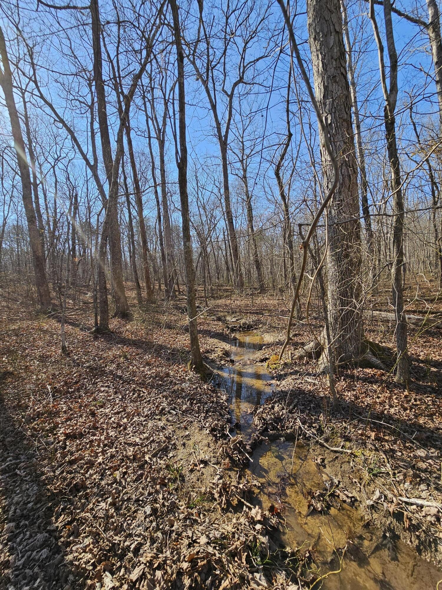 5 Timberwood Trace Property Photo 7