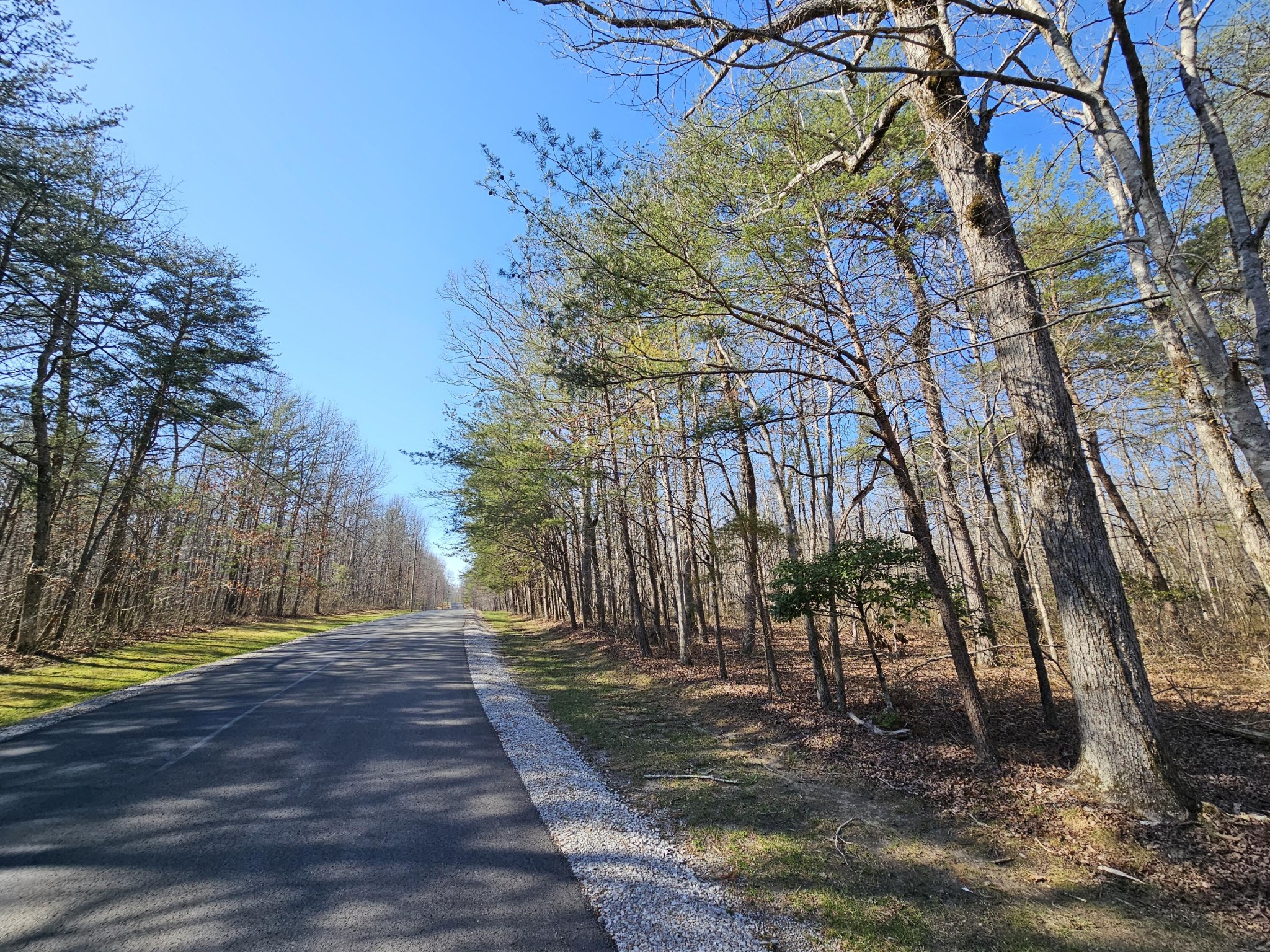 5 Timberwood Trace Property Photo 8