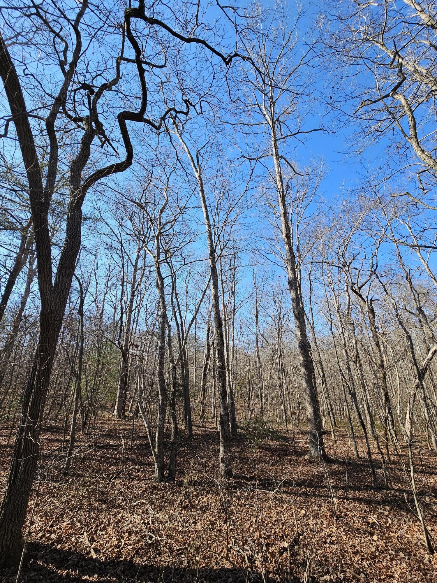 5 Timberwood Trace Property Photo 20