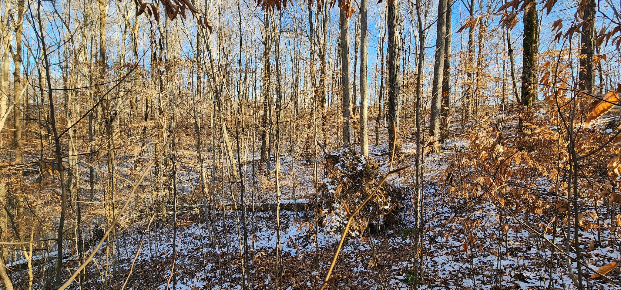 0 Crestview Dr Property Photo 1