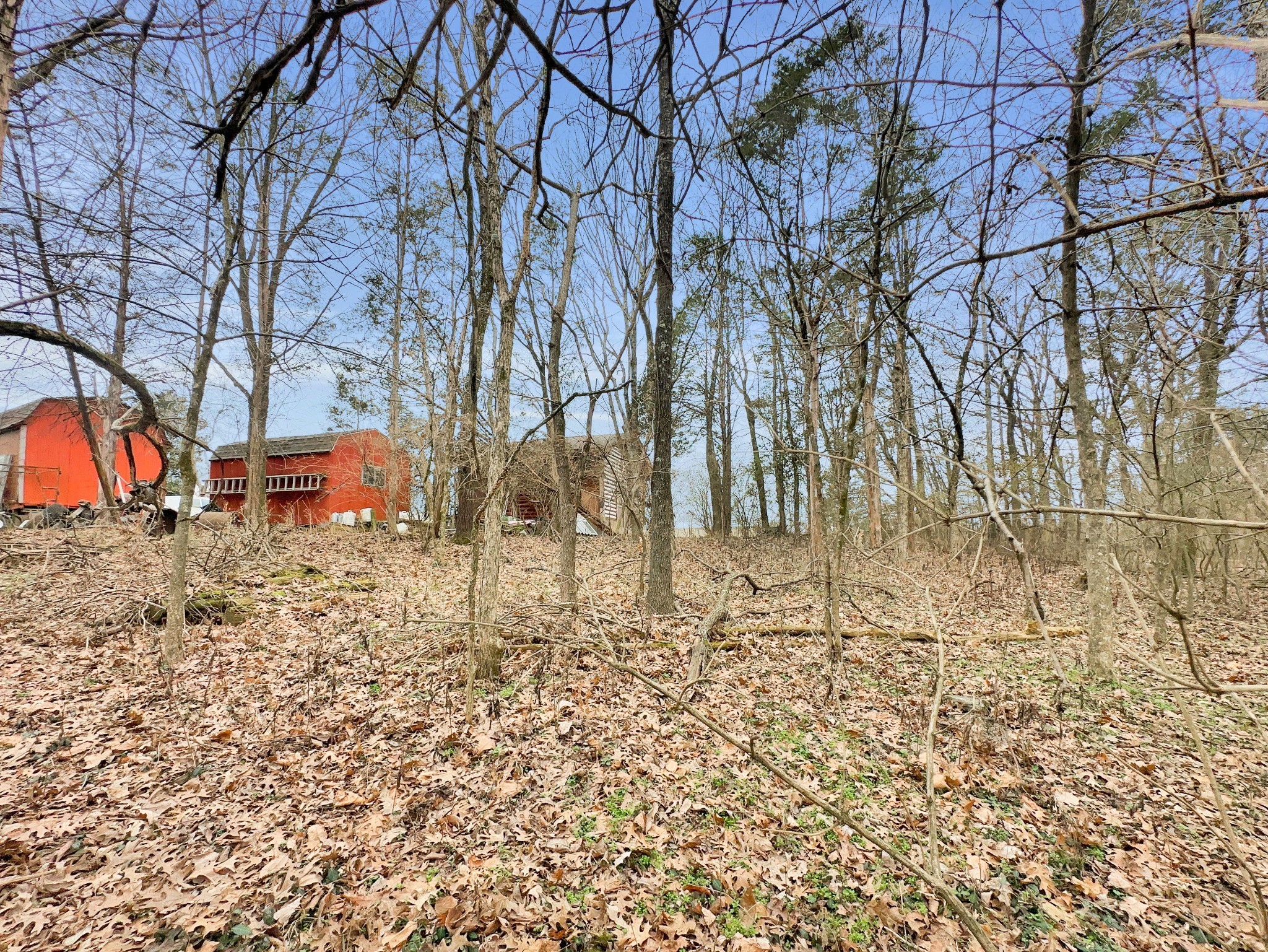 1430 Powell Grove Rd Property Photo 24