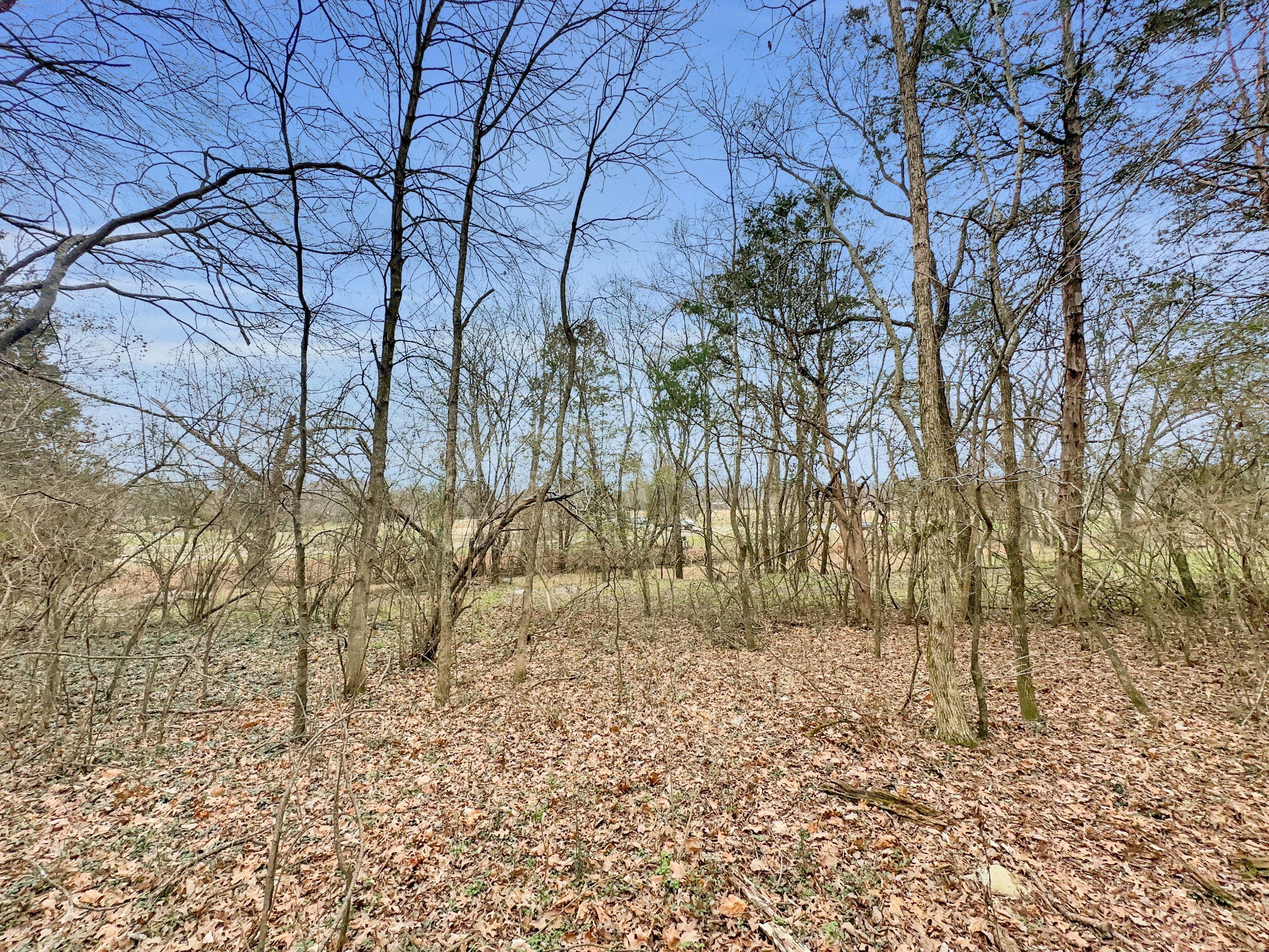 1430 Powell Grove Rd Property Photo 27