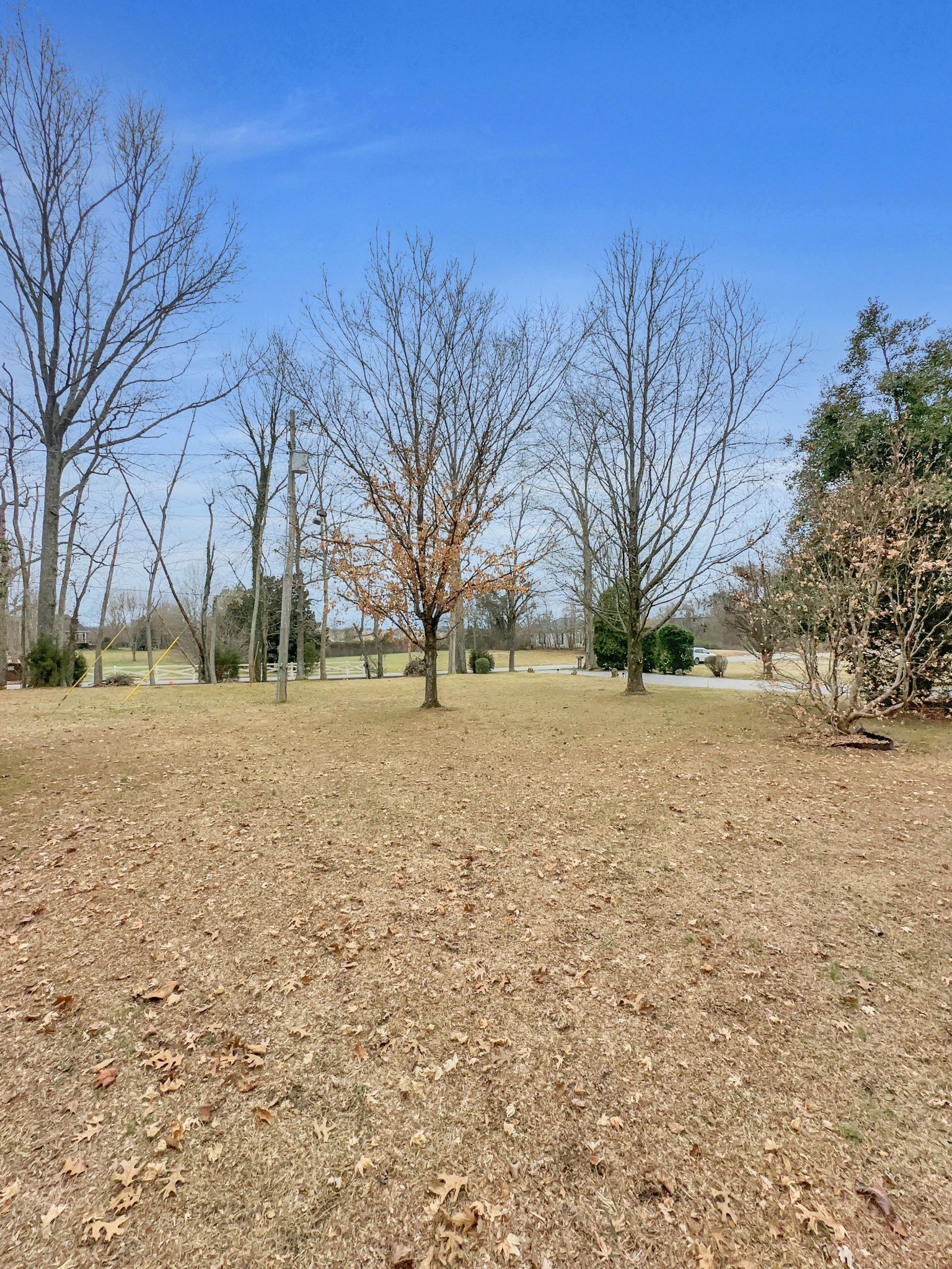 1430 Powell Grove Rd Property Photo 31