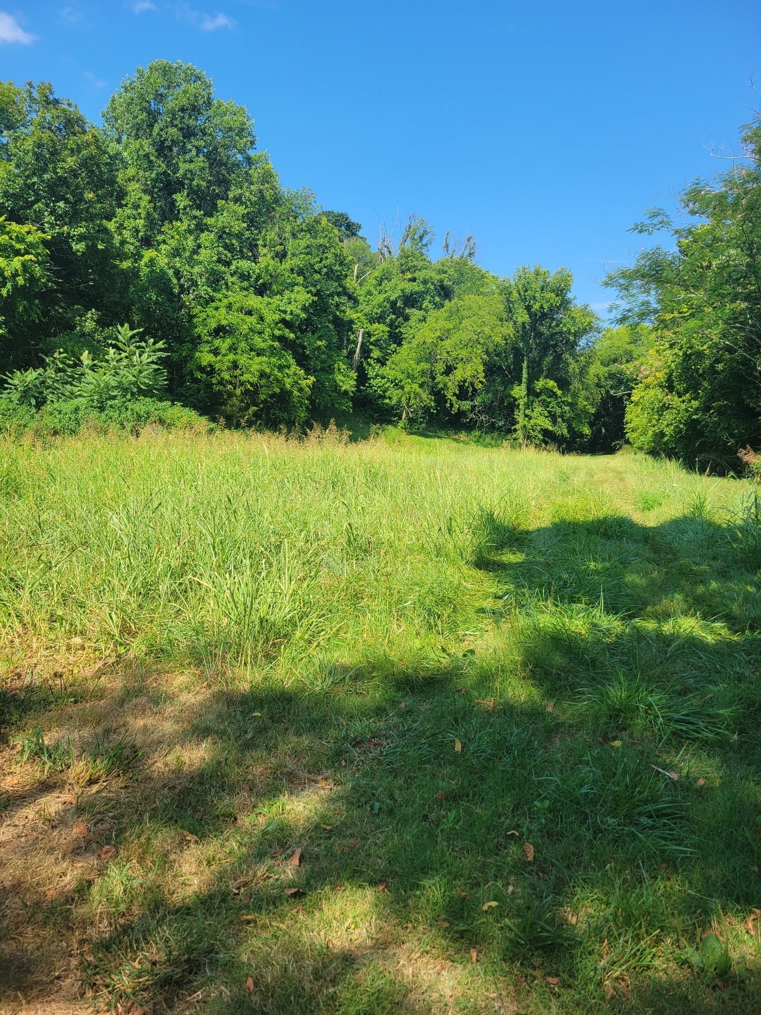 4066 Rocky Branch Rd Property Photo