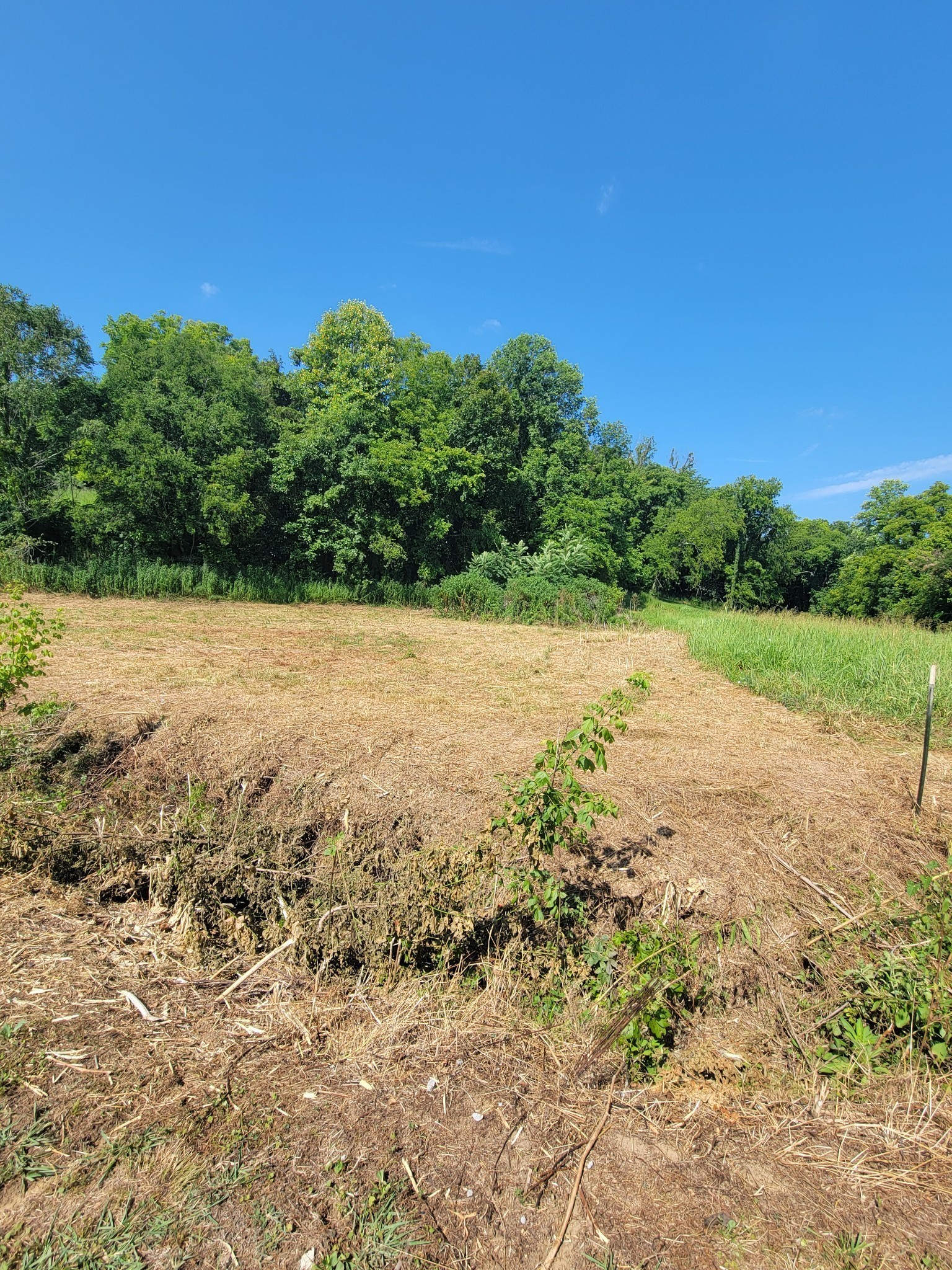 4066 Rocky Branch Rd Property Photo 2
