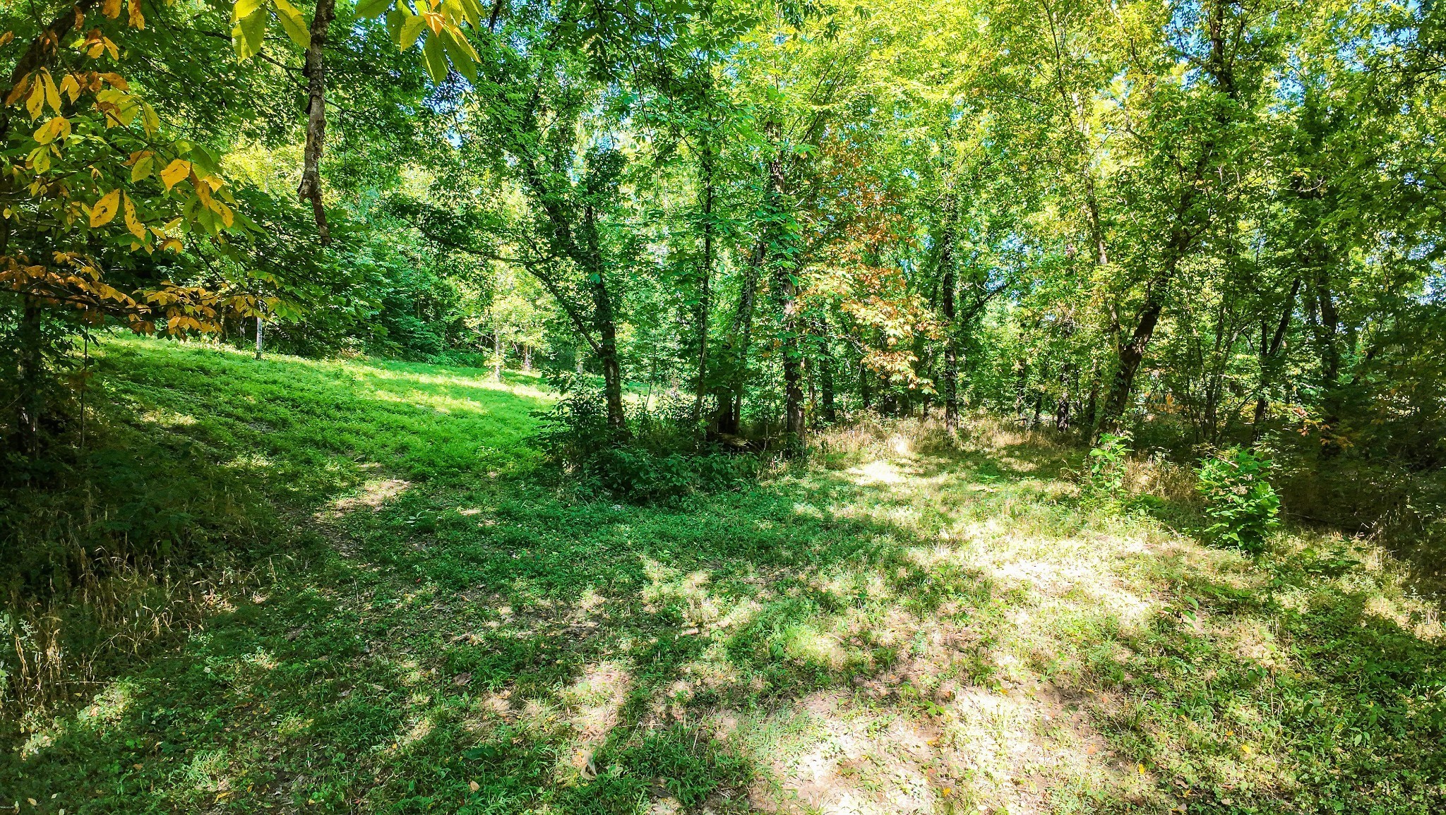 4066 Rocky Branch Rd Property Photo 4