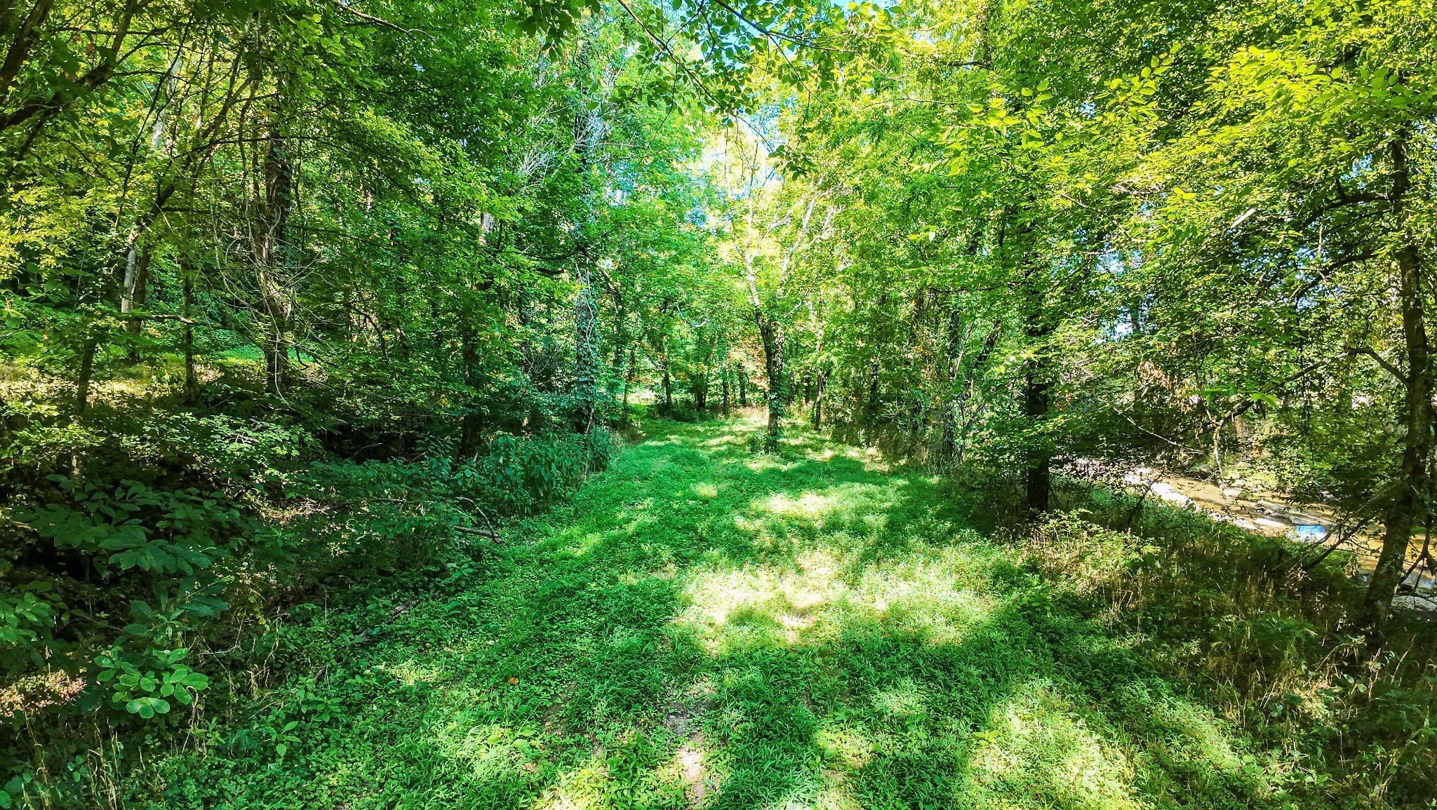 4066 Rocky Branch Rd Property Photo 5