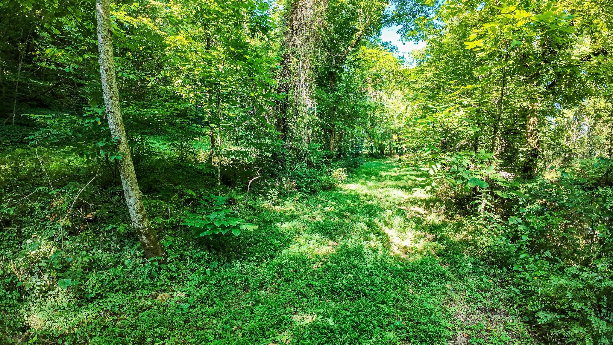 4066 Rocky Branch Rd Property Photo 6