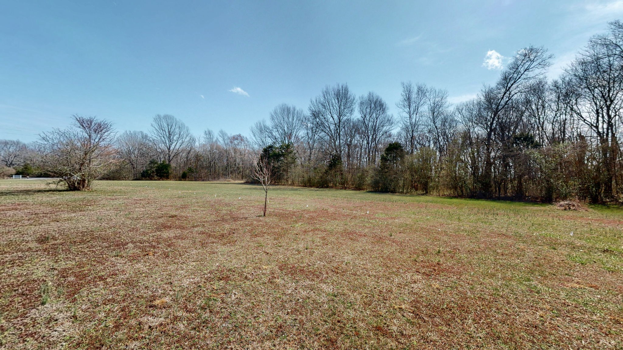 0 Thick Rd Property Photo 10