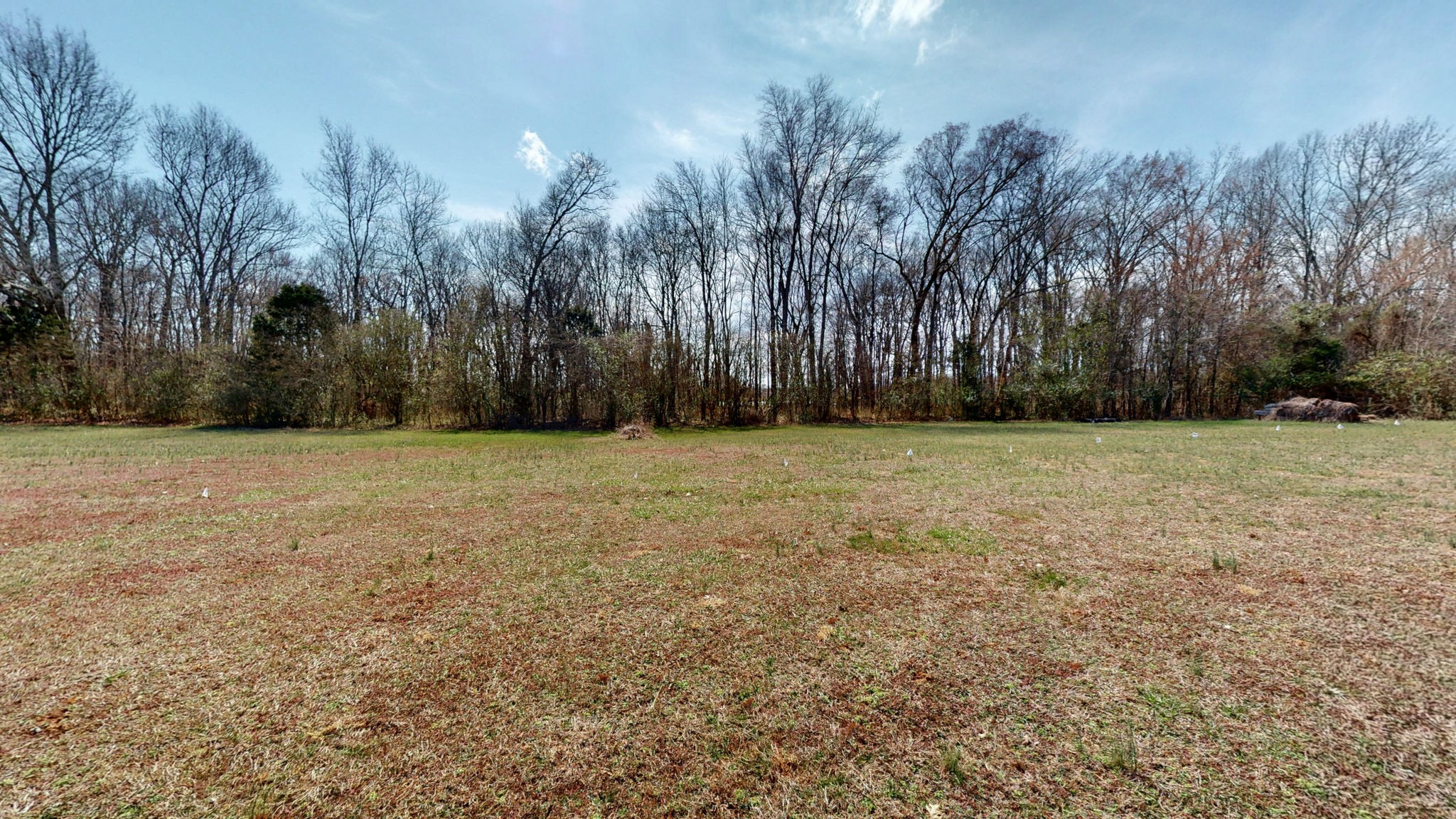 0 Thick Rd Property Photo 11