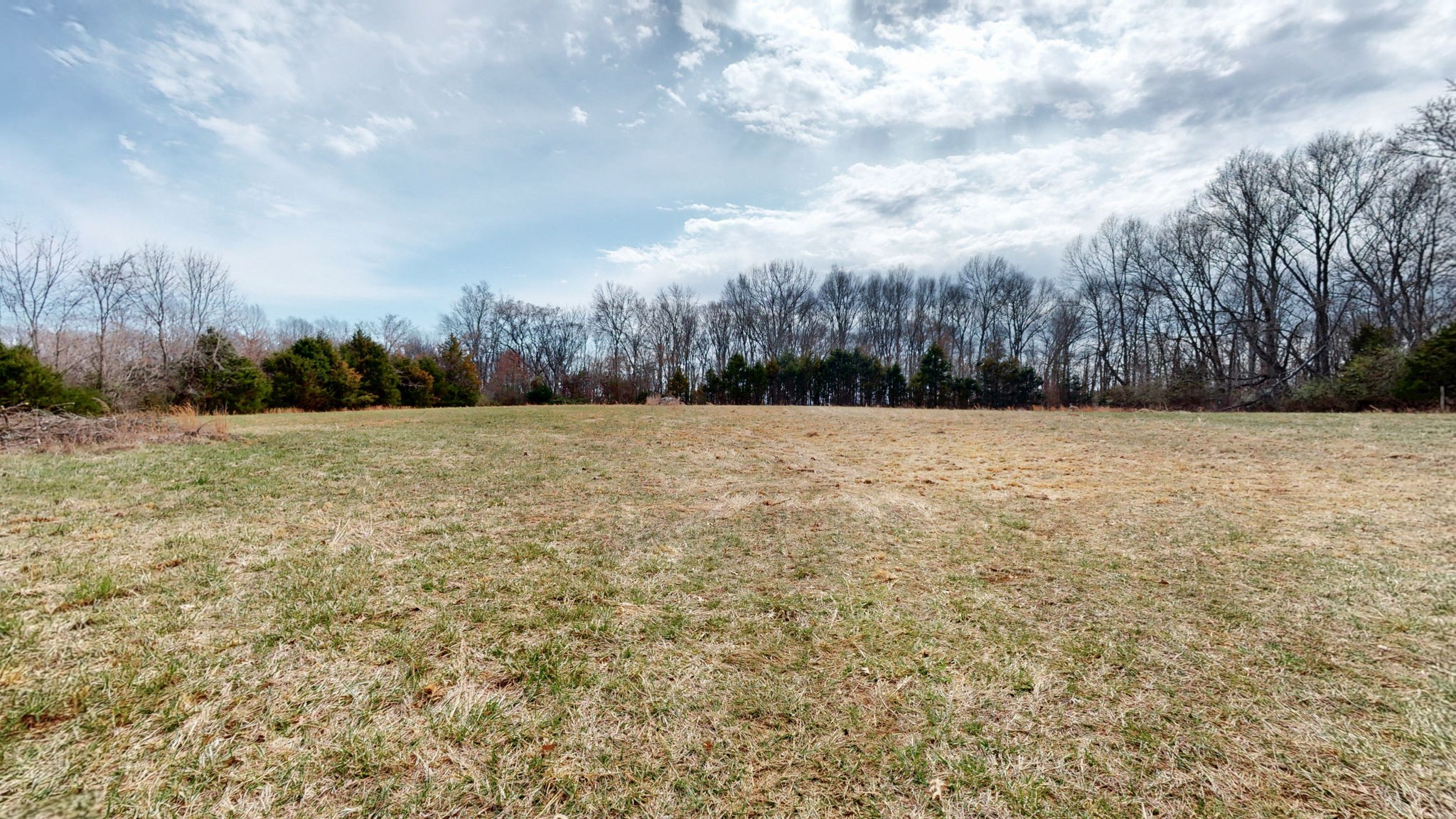 0 Thick Rd Property Photo 13