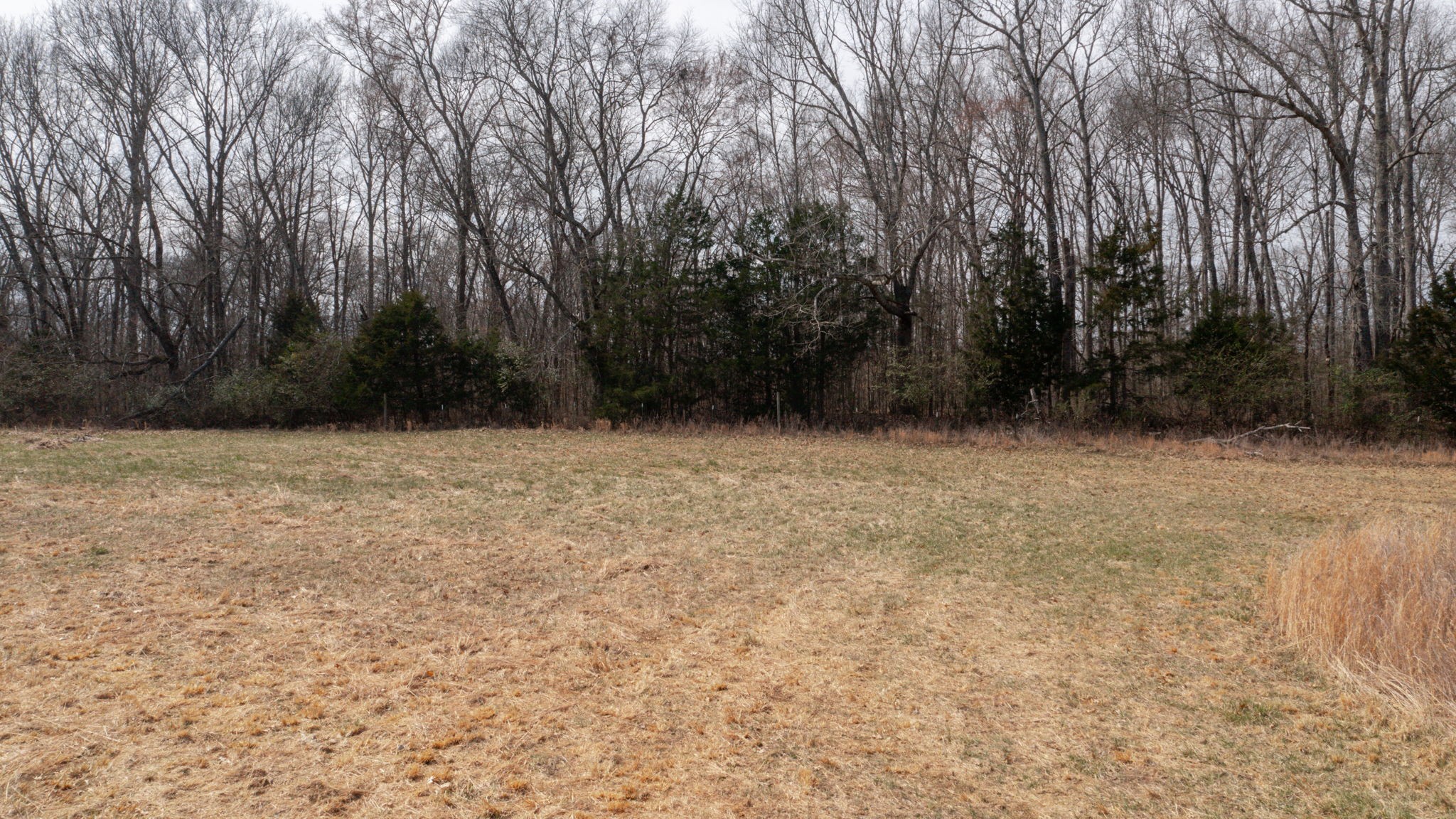 0 Thick Rd Property Photo 16