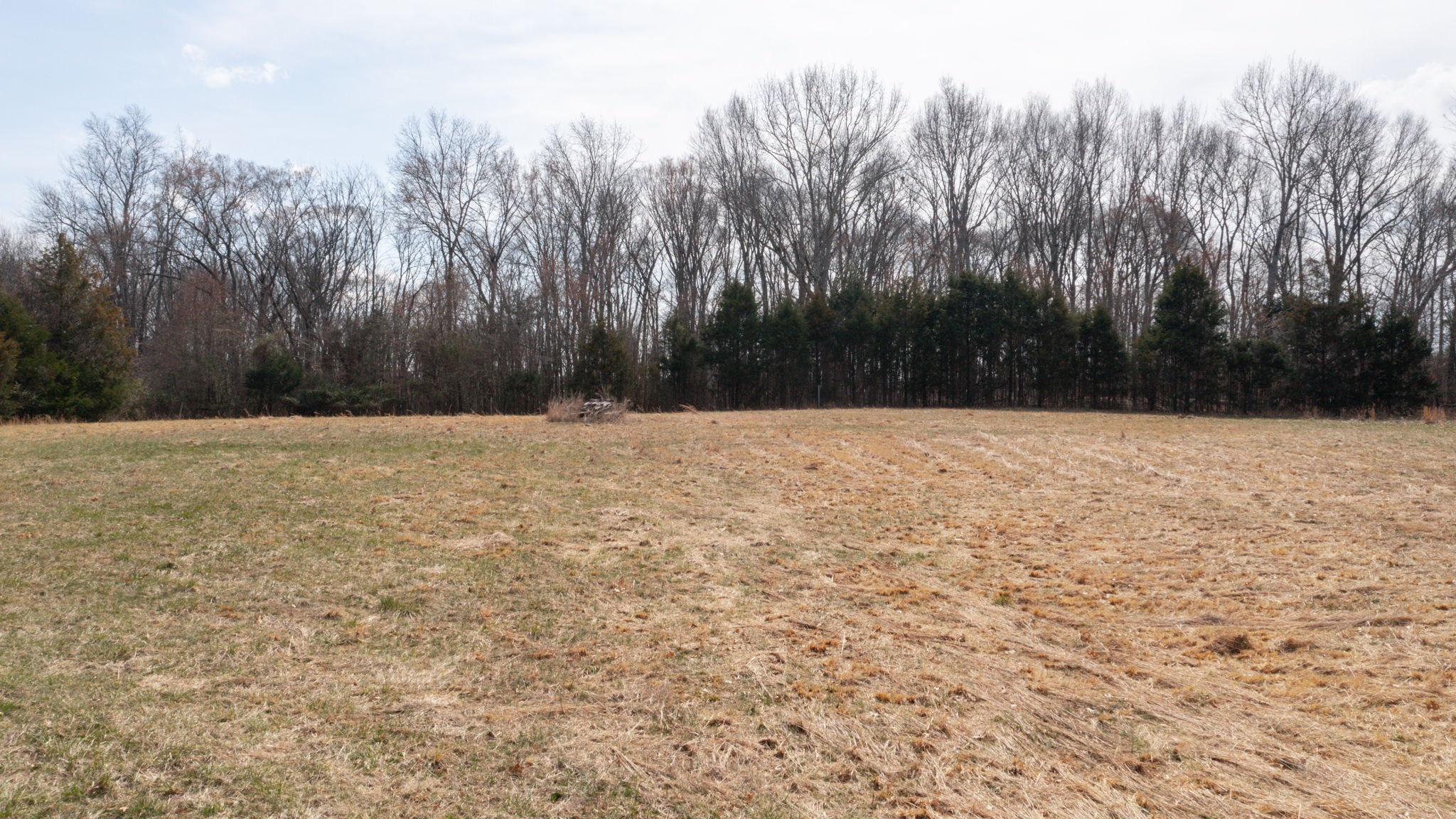 0 Thick Rd Property Photo 17