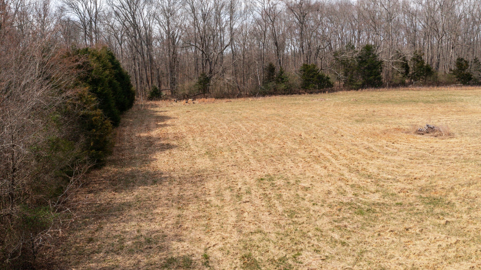 0 Thick Rd Property Photo 28