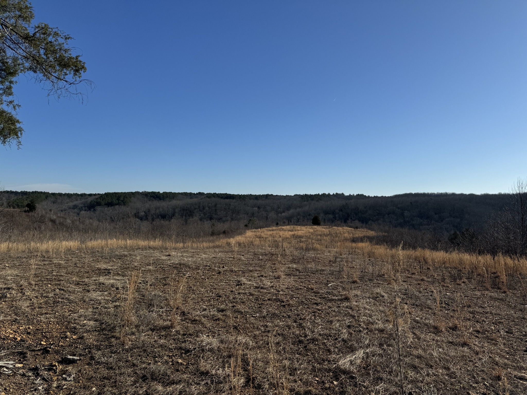 365 Twin Pines Overlook Property Photo