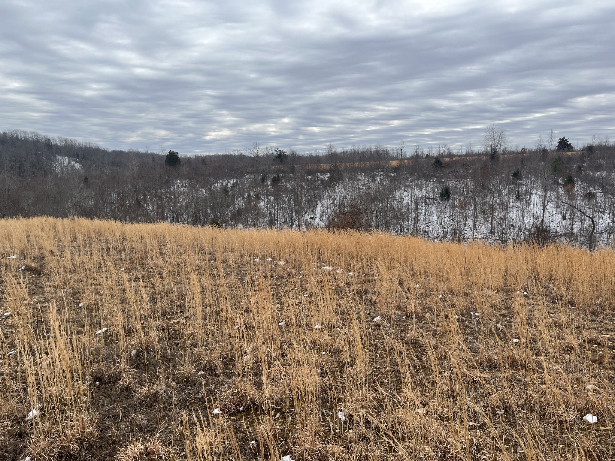 169 Twin Pines Rd Property Photo