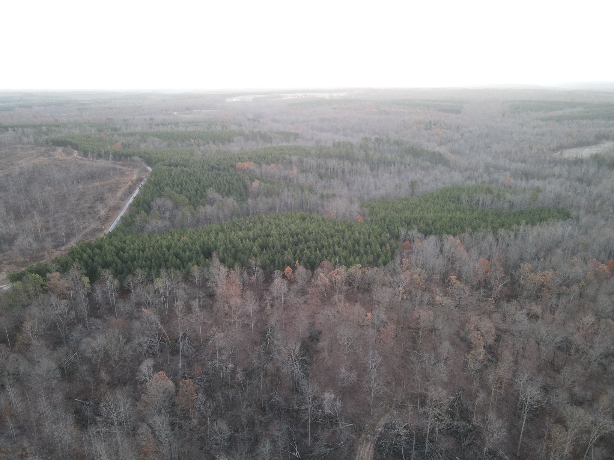 0 Hurricane Creek Road Property Photo