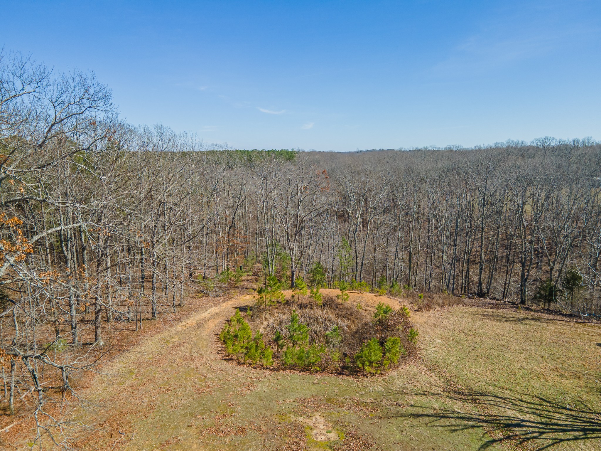 4152 Bell Branch Rd Property Photo 50