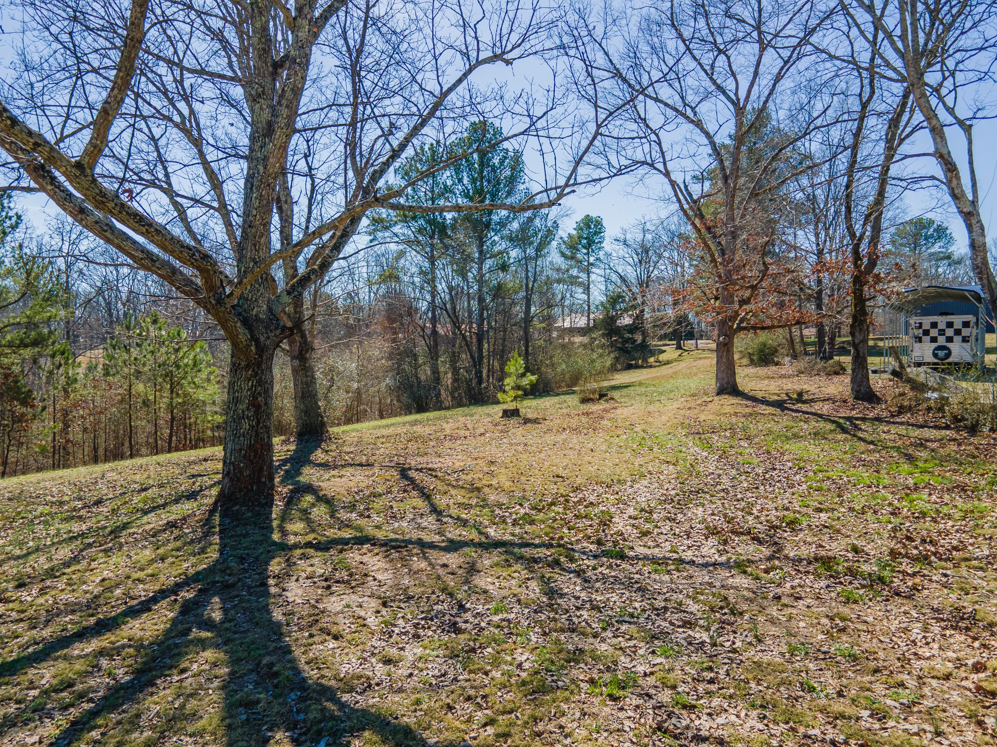 4152 Bell Branch Rd Property Photo 59