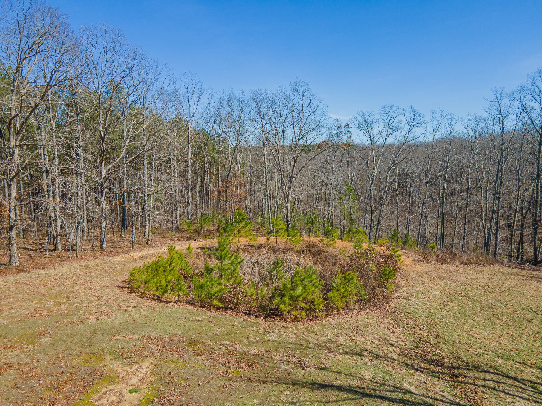 4152 Bell Branch Rd Property Photo 64