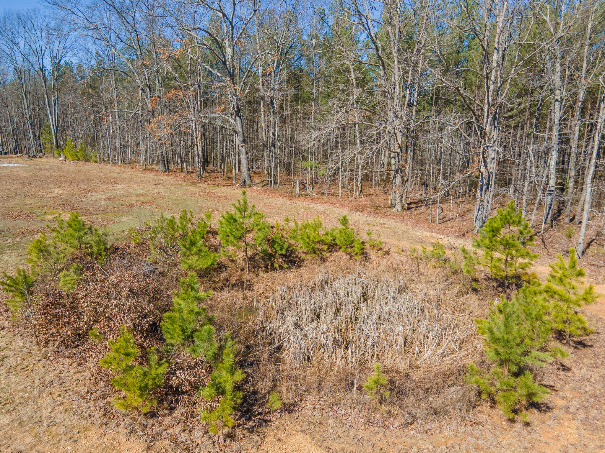 4152 Bell Branch Rd Property Photo 66