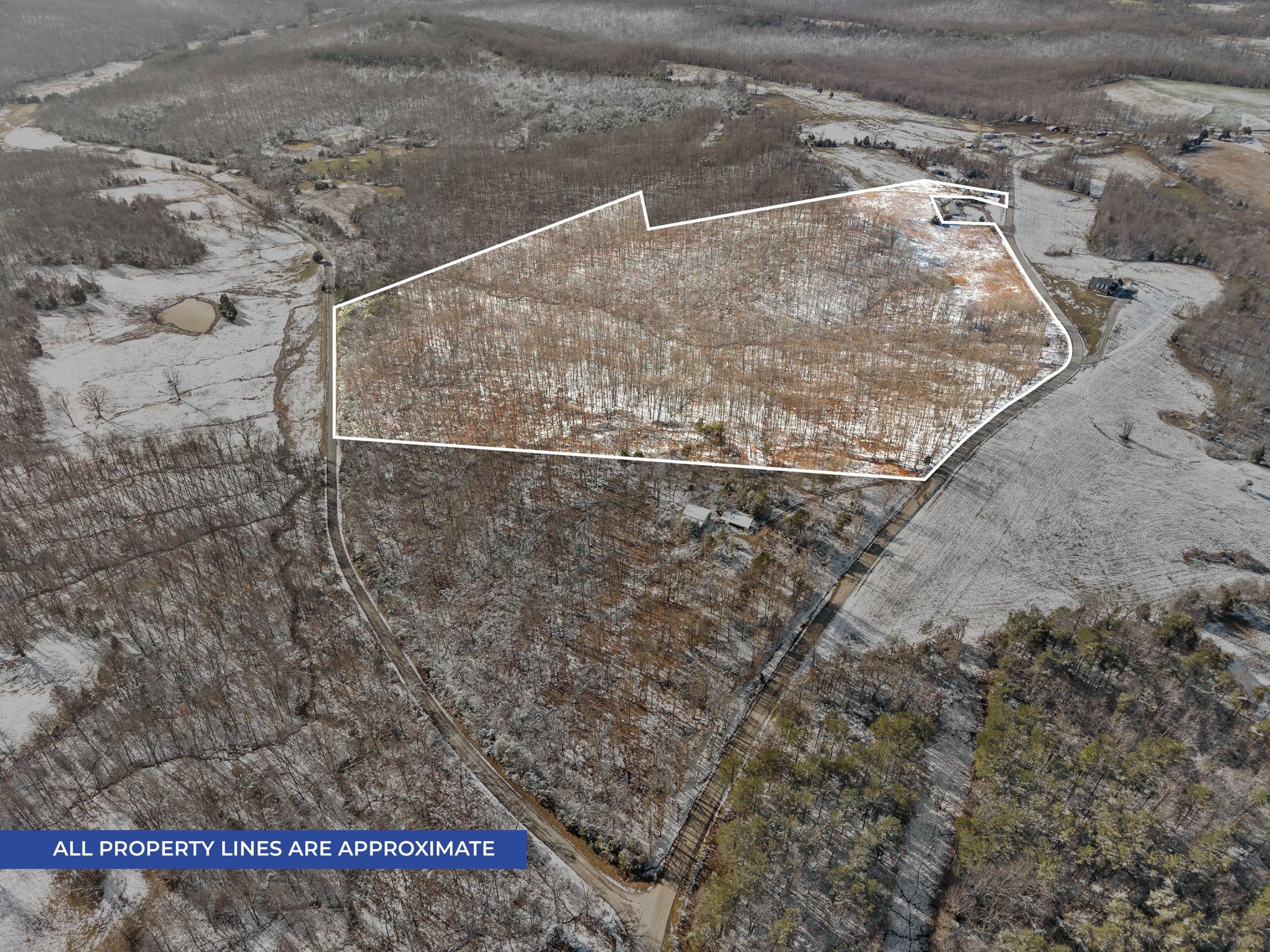 305 Squires Groves Rd Property Photo 2