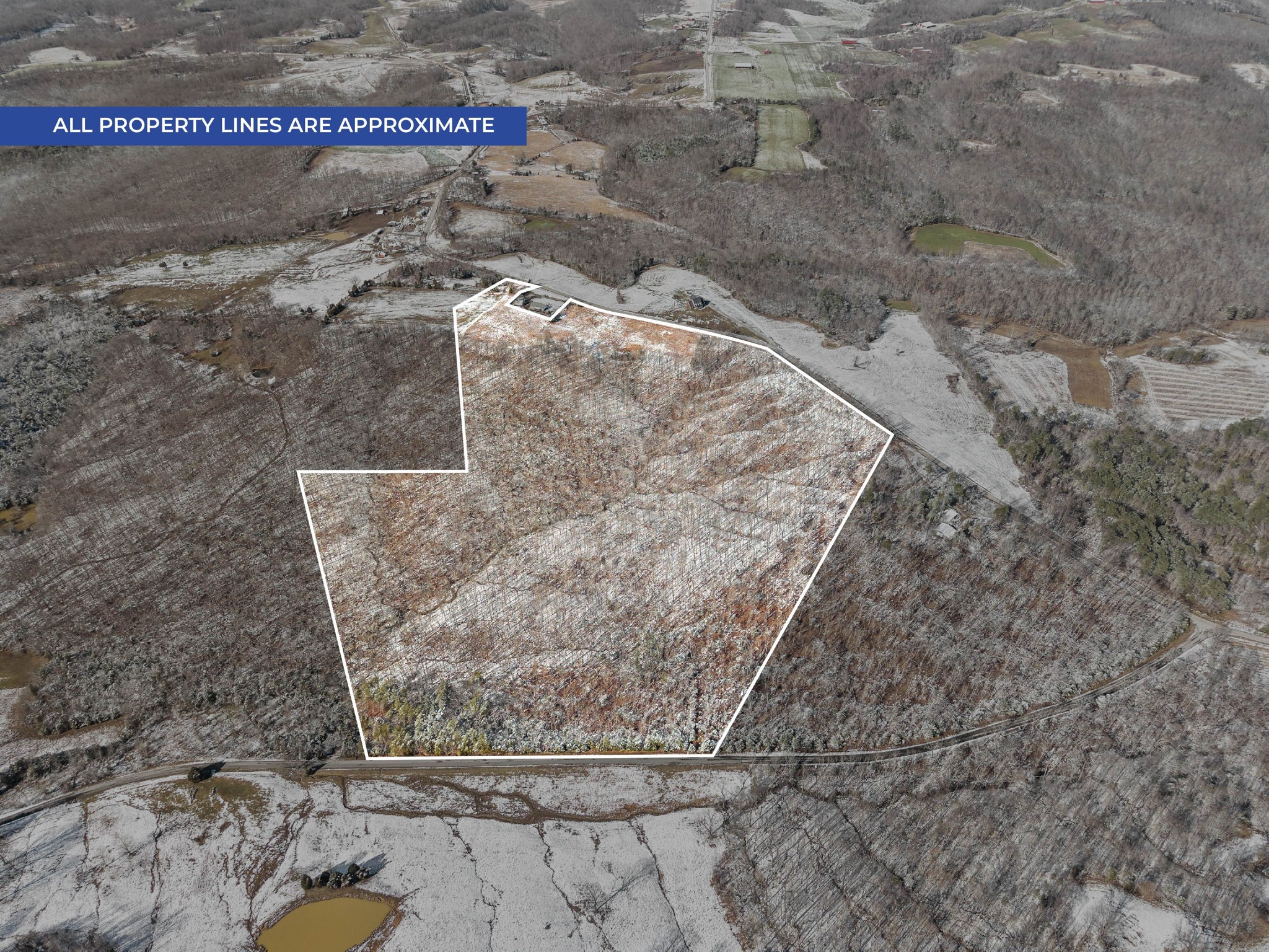 305 Squires Groves Rd Property Photo 3