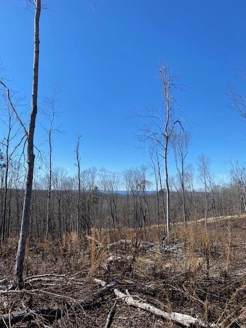 13 River Road Property Photo 2