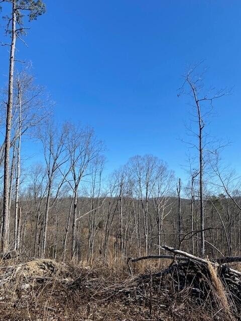 13 River Road Property Photo 8
