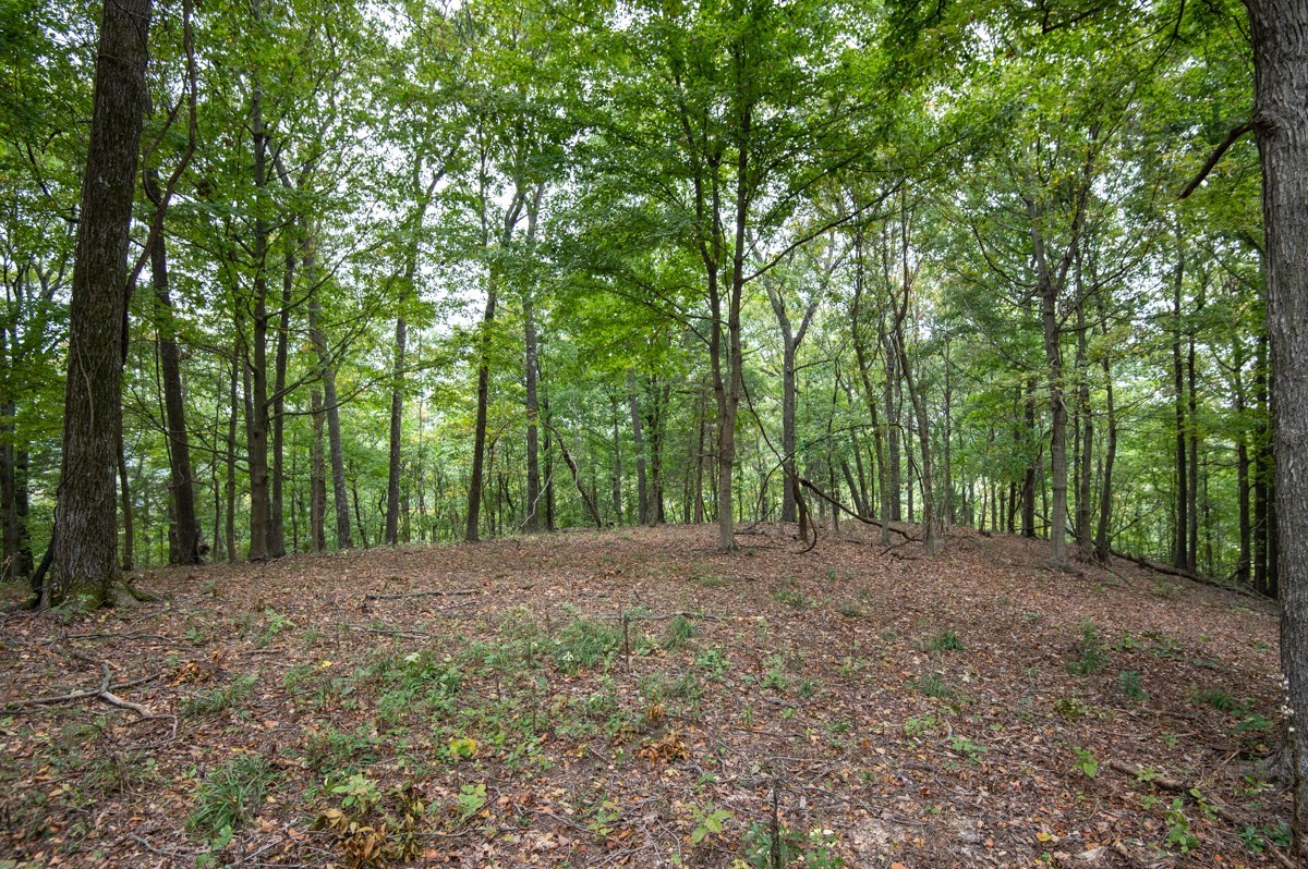 0 Bursby Branch Road Property Photo 1