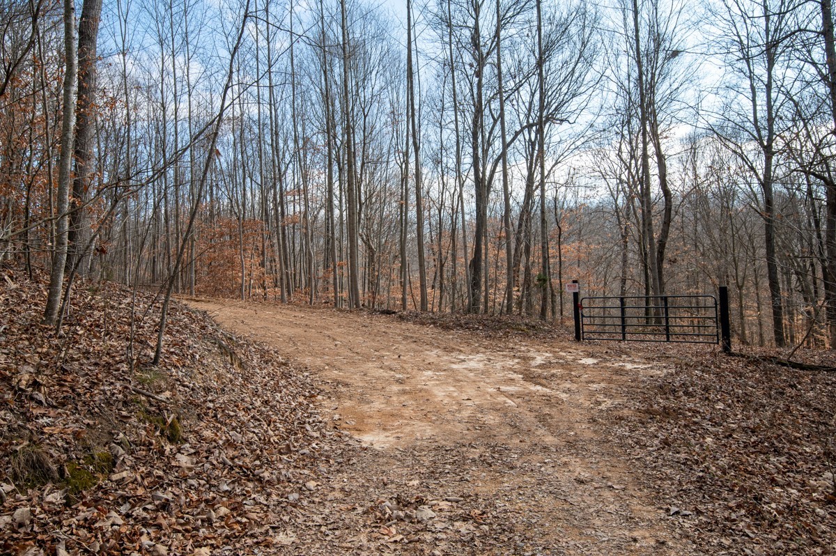0 Bursby Branch Road Property Photo 11