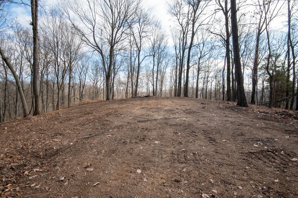 0 Bursby Branch Road Property Photo 15