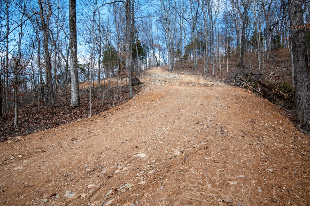0 Bursby Branch Road Property Photo 16
