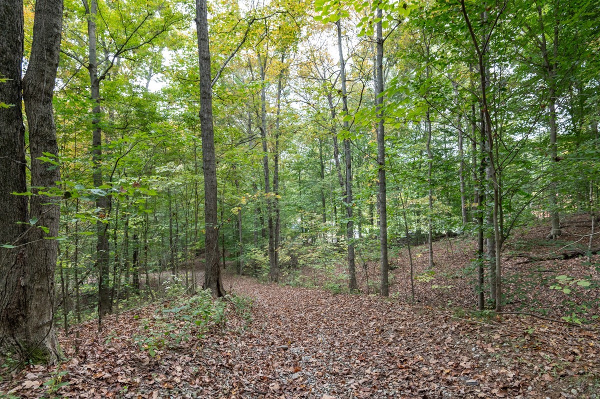 0 Bursby Branch Road Property Photo 17